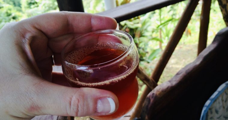 Cinnamon Tea (Iced or Hot)