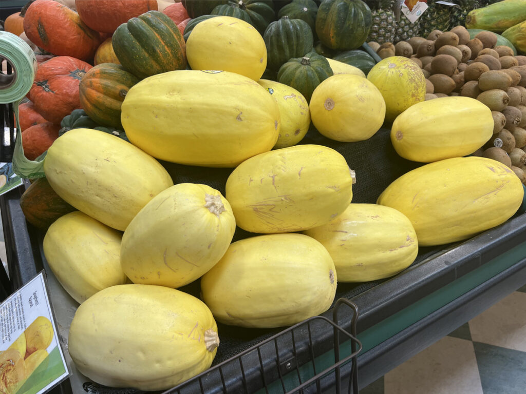 Bin of spaghetti squash displayed at market.